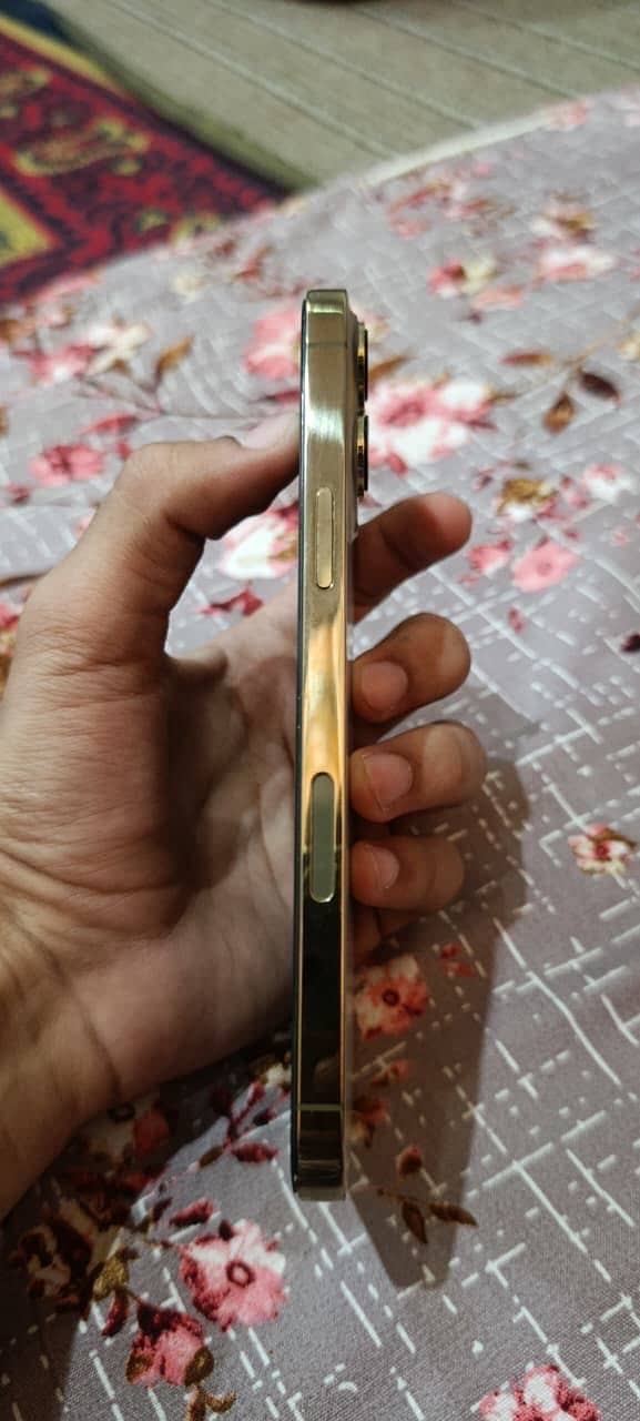 Apple iPhone 13 Pro Max 2