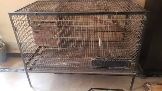 parrot breading cage