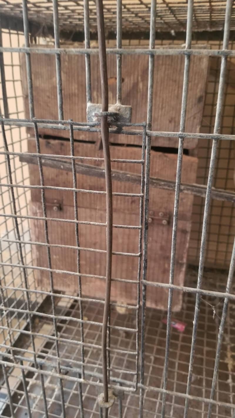 parrot breading cage 1