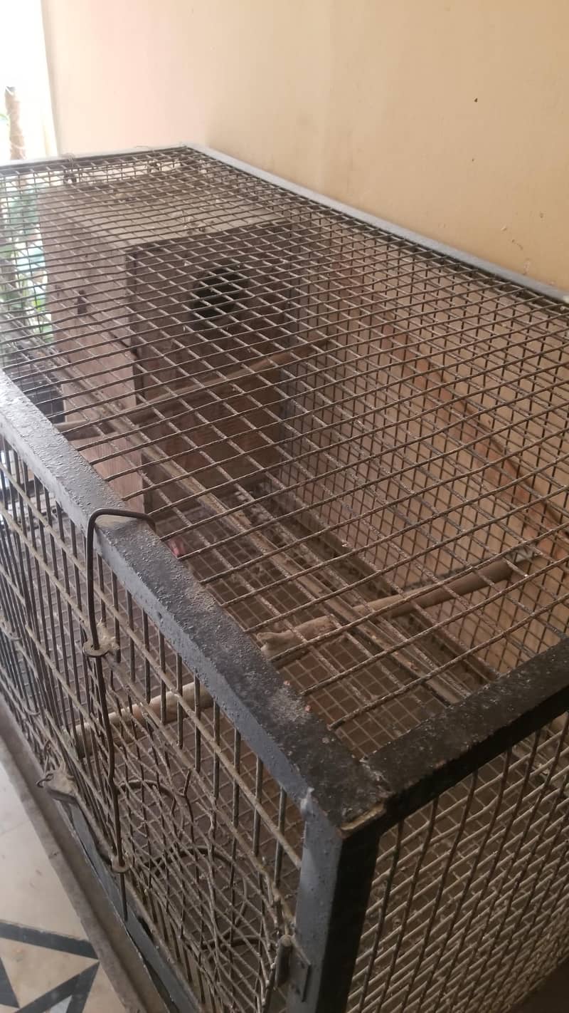 parrot breading cage 2