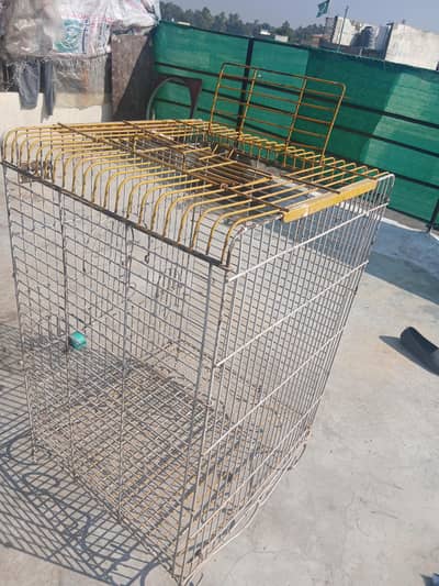 parrot cage