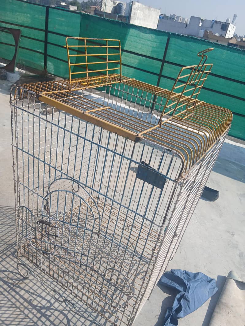 parrot cage 1