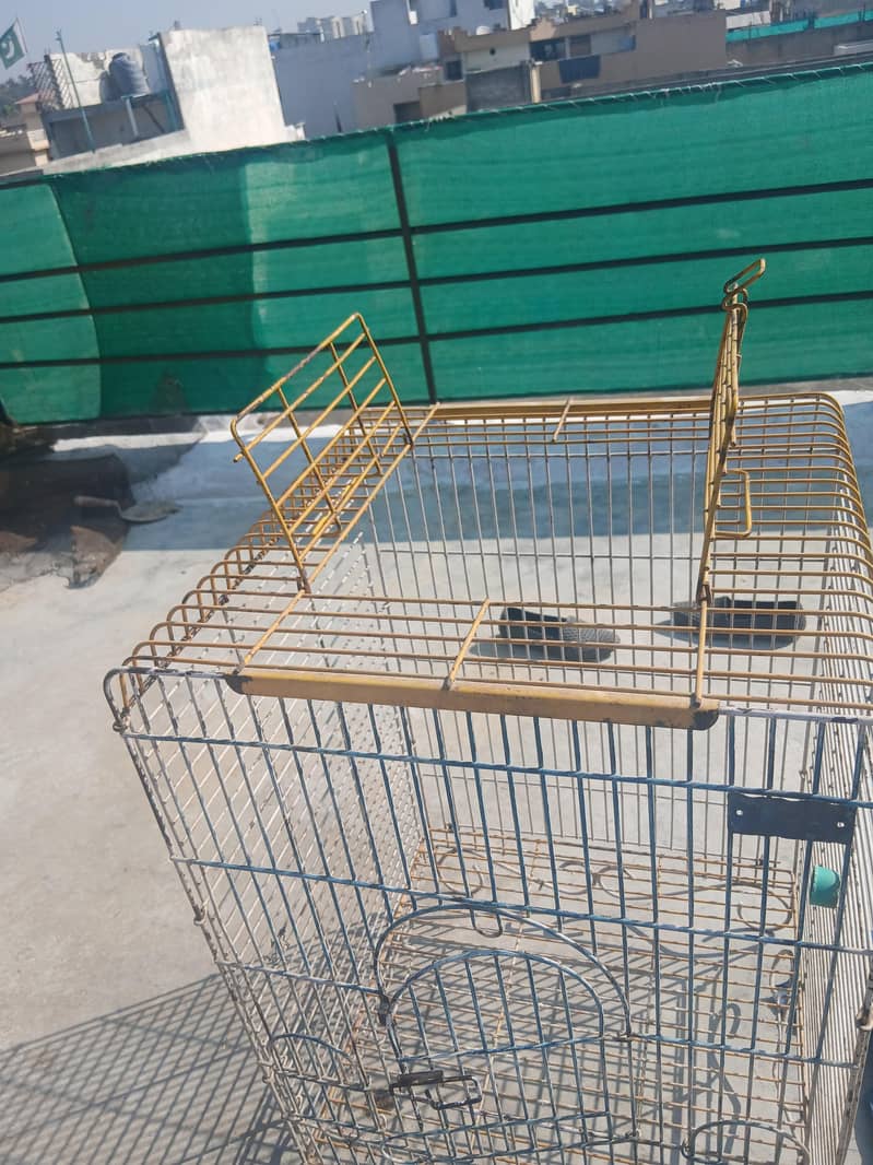 parrot cage 2