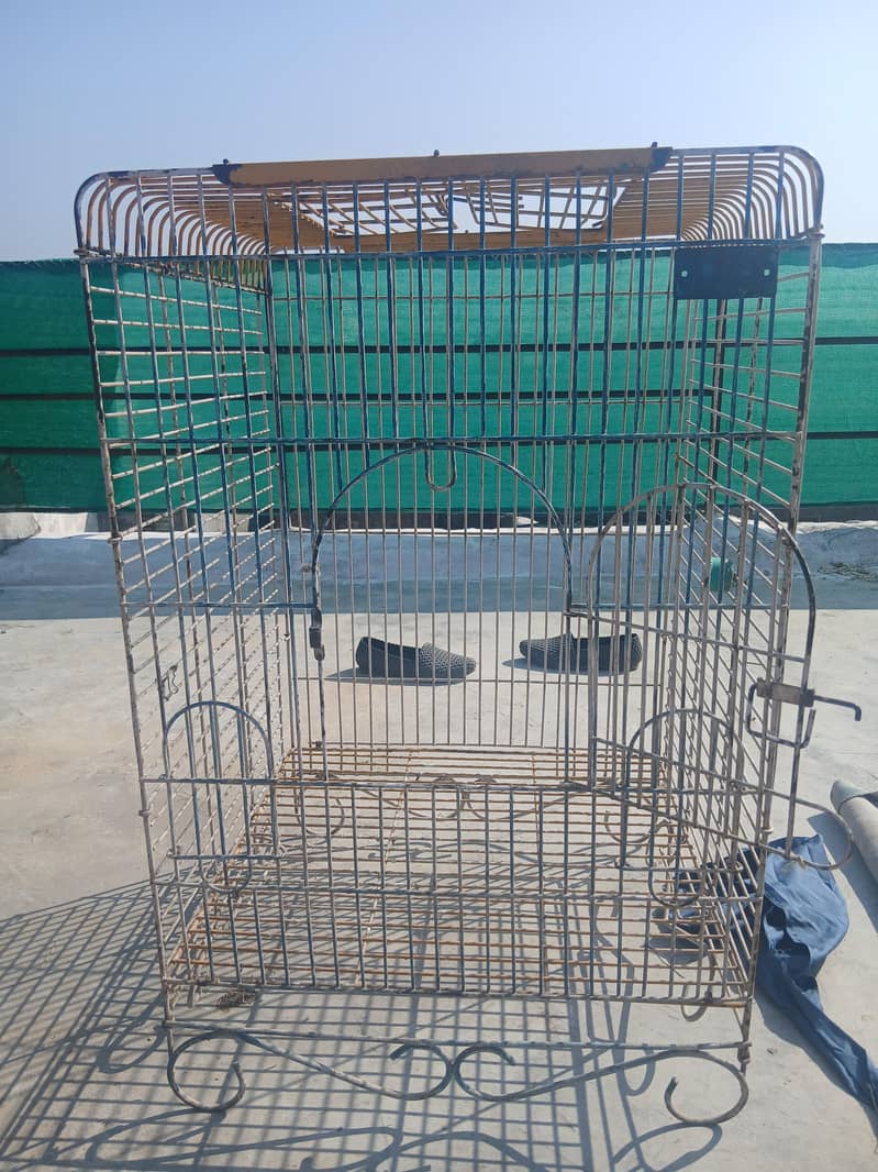 parrot cage 3