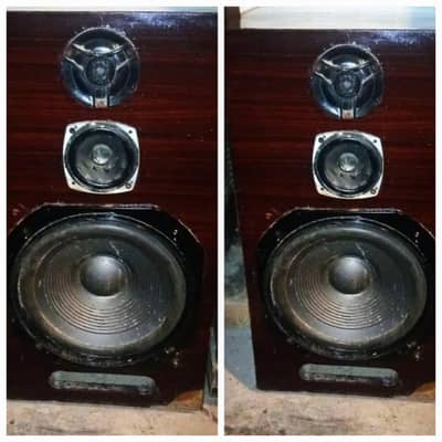 2 Speaker Big Size and Amplifier (Vector )