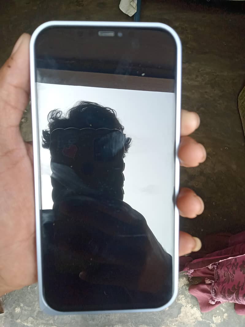 Apple iPhone 12 Pro Max 2