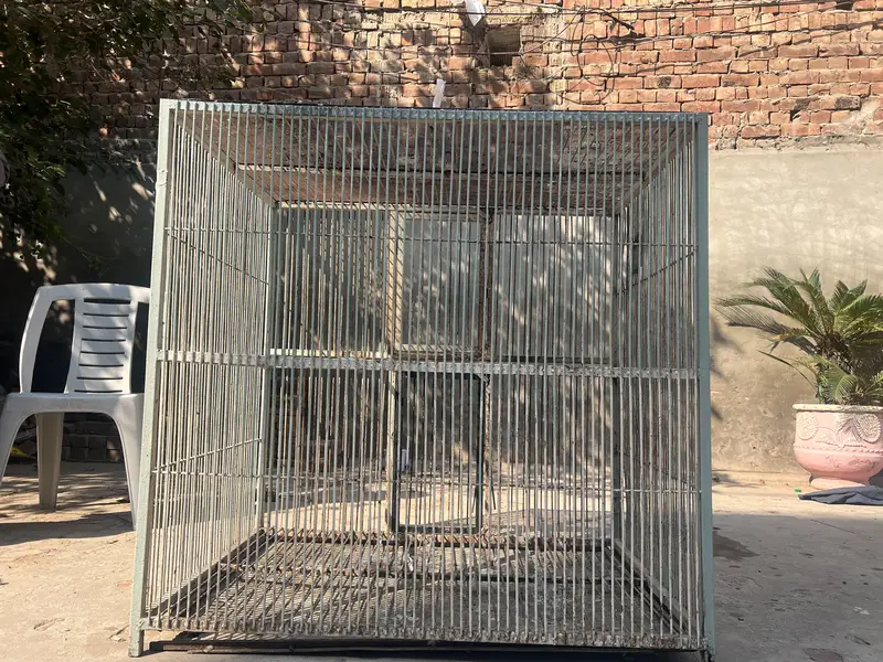 cage pure — photo 2