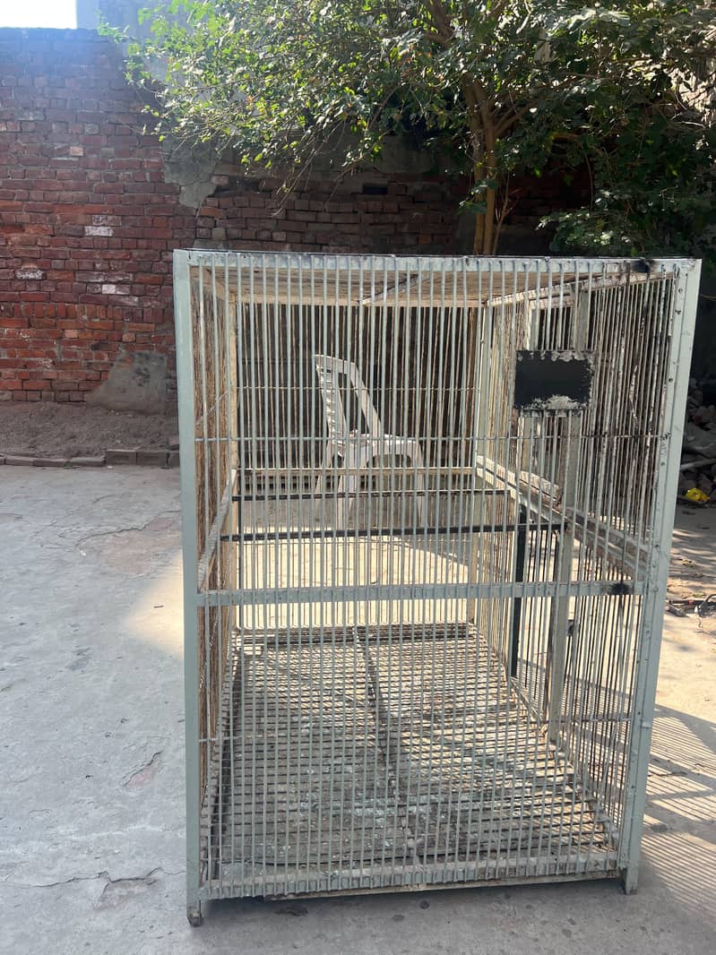 cage pure 2