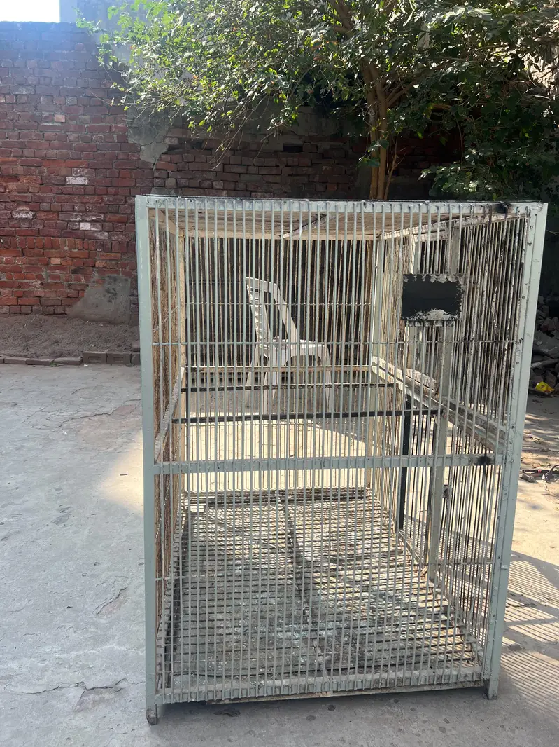 cage pure — photo 3