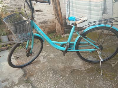 Ladies Cycle