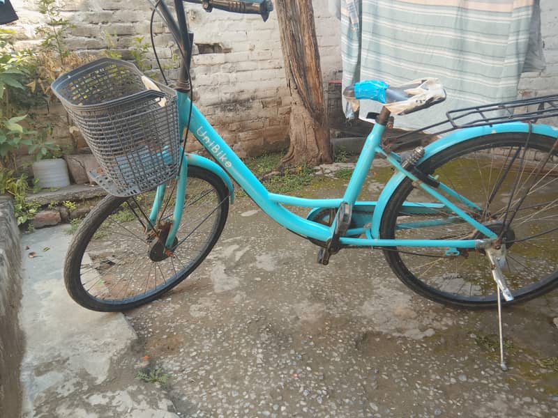 Ladies Cycle 1