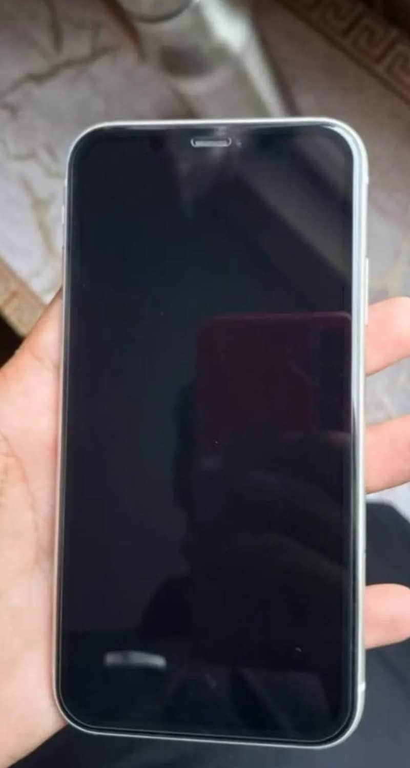 Apple iPhone 11 1