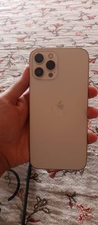 Apple iPhone 12 Pro Max