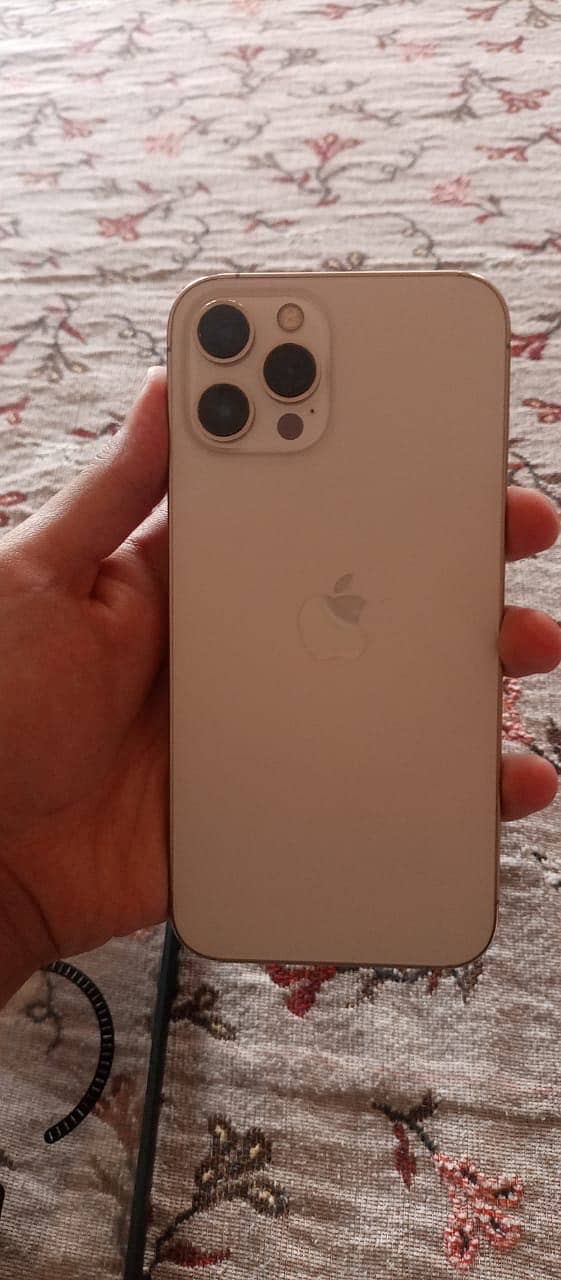 Apple iPhone 12 Pro Max 0