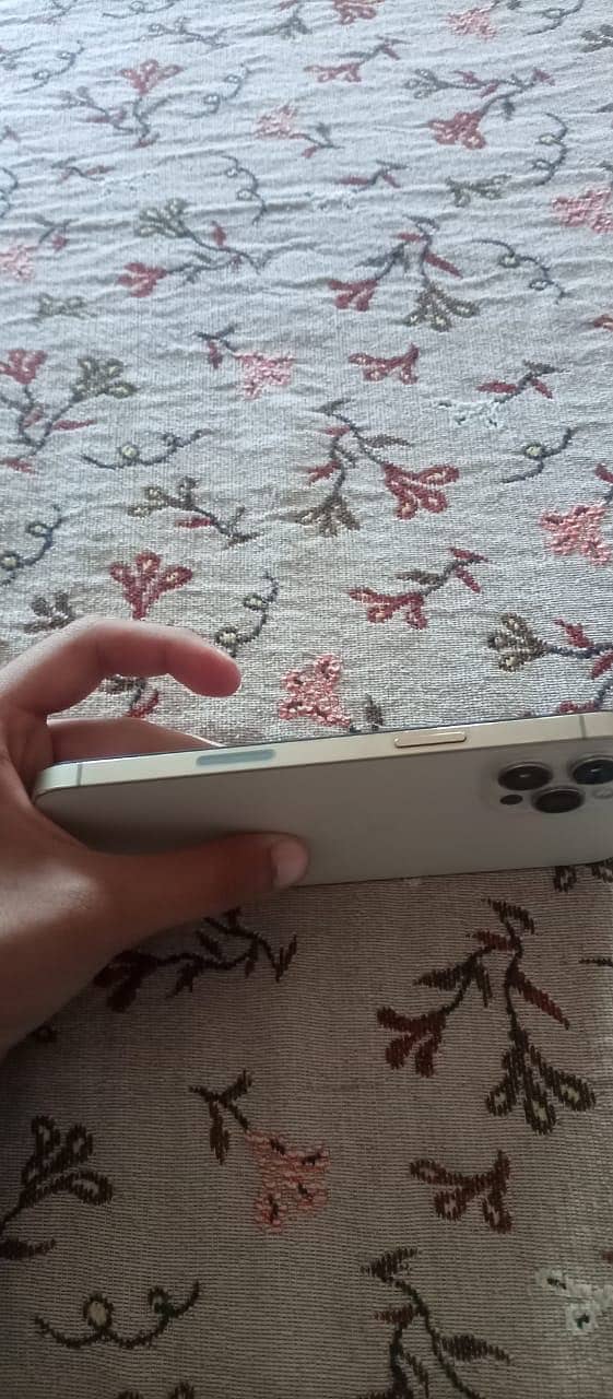 Apple iPhone 12 Pro Max 1