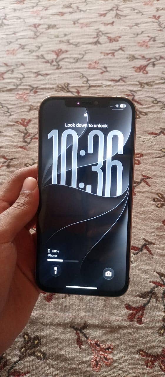 Apple iPhone 12 Pro Max 2