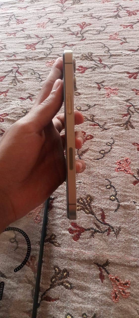 Apple iPhone 12 Pro Max 5