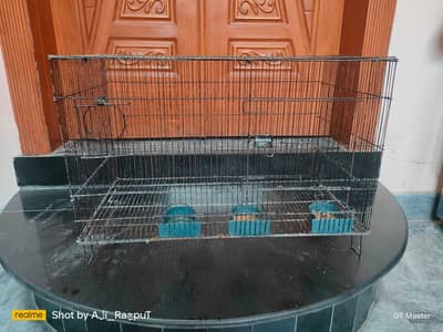 Birds Cages