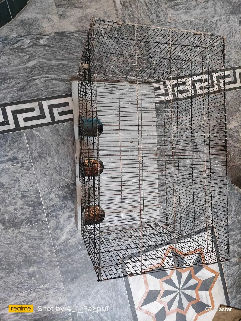 Birds Cages — photo 2