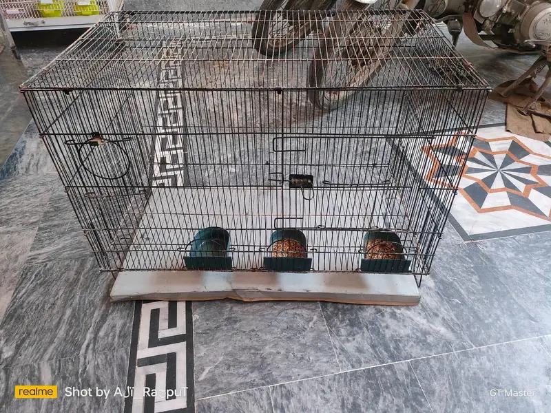 Birds Cages — photo 3