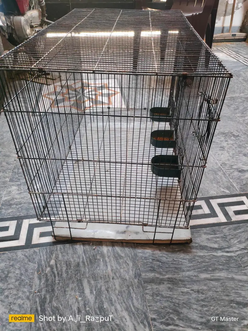 Birds Cages — photo 4