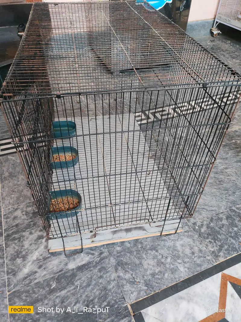 Birds Cages — photo 5