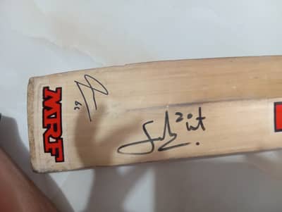 MRF Kashmir willow bat