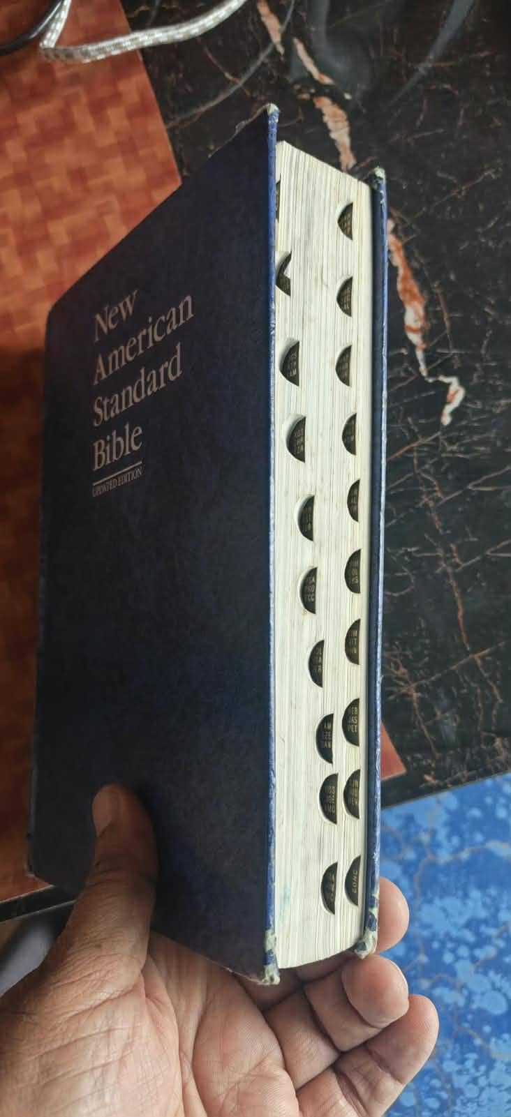 Bibles 7