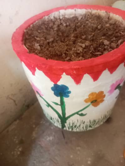 Hand-Painted Decorative Flower Pot | Handmade Planter for Home