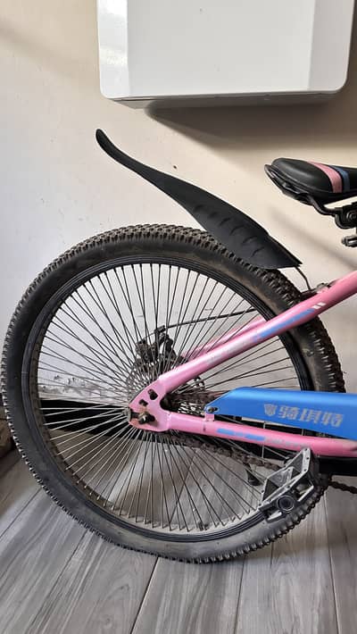 Pink & Blue Bicycle for Sale