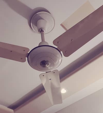 GFC (Deluxe) Ceiling Fans