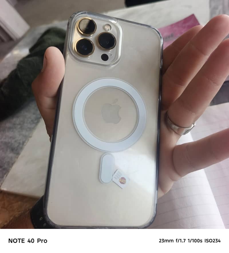 Apple iPhone 13 Pro Max 1