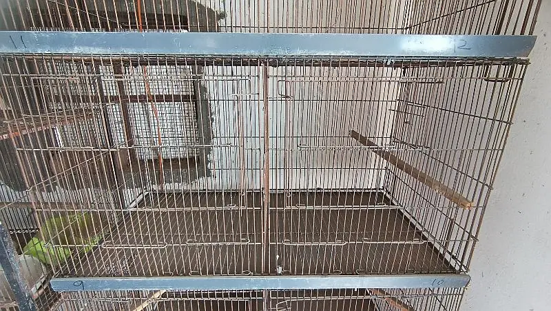 Folding Bird Cage/ Portion Cage — photo 3
