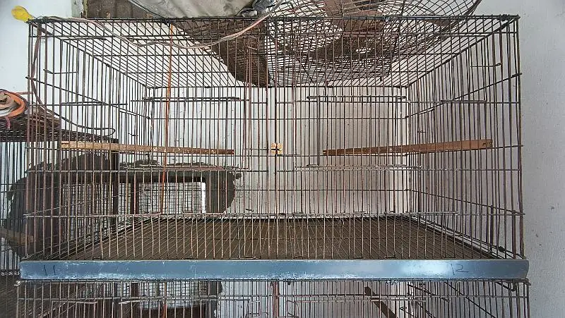 Folding Bird Cage/ Portion Cage — photo 4