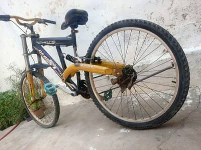 Irani sports cycle