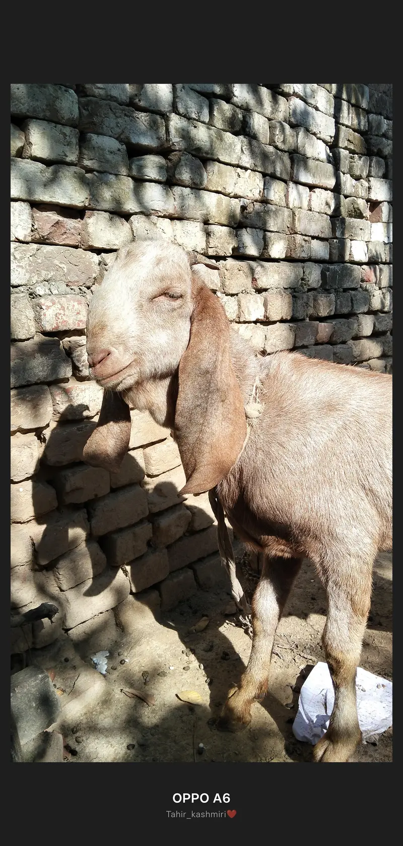 fore sale