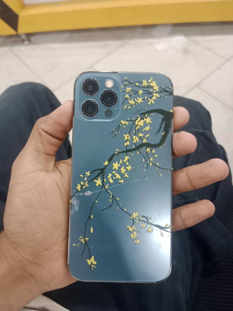 Apple iPhone 12 Pro 0