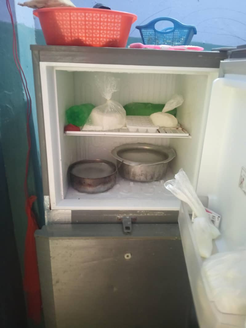 freezer 1