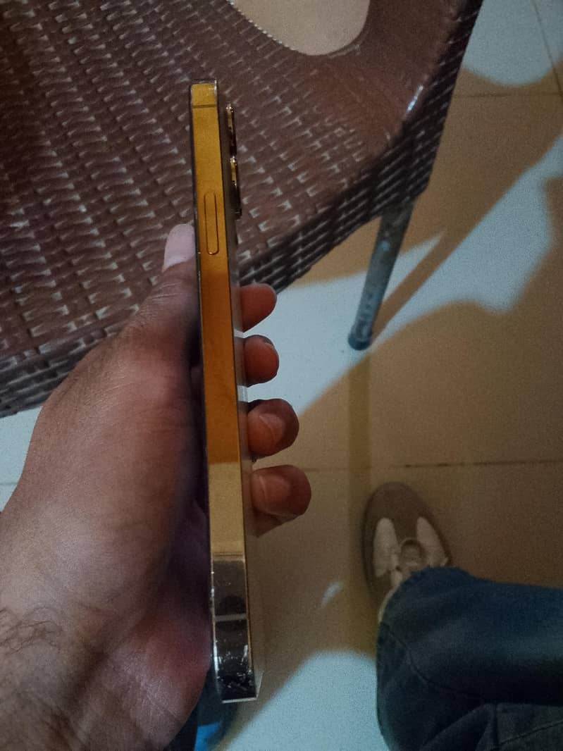 Apple iPhone 13 Pro Max 0