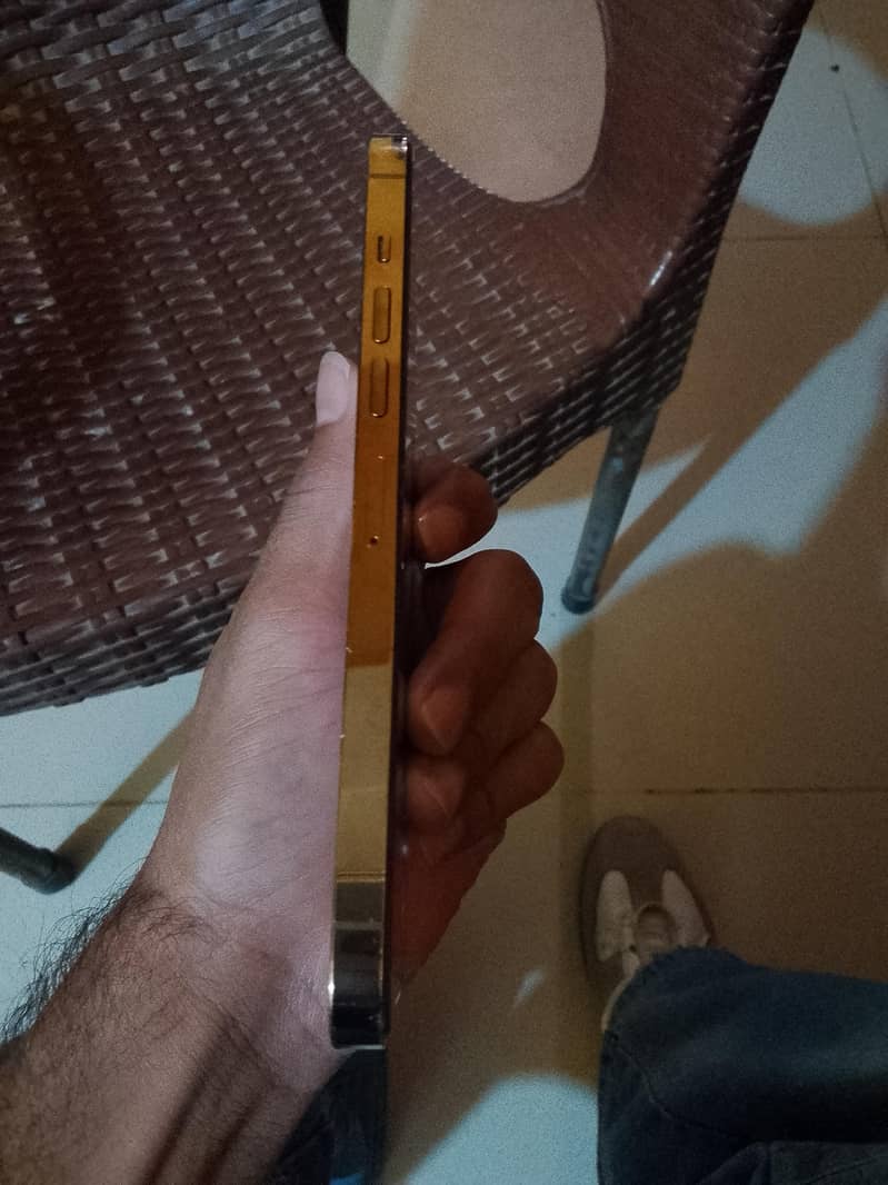Apple iPhone 13 Pro Max 1