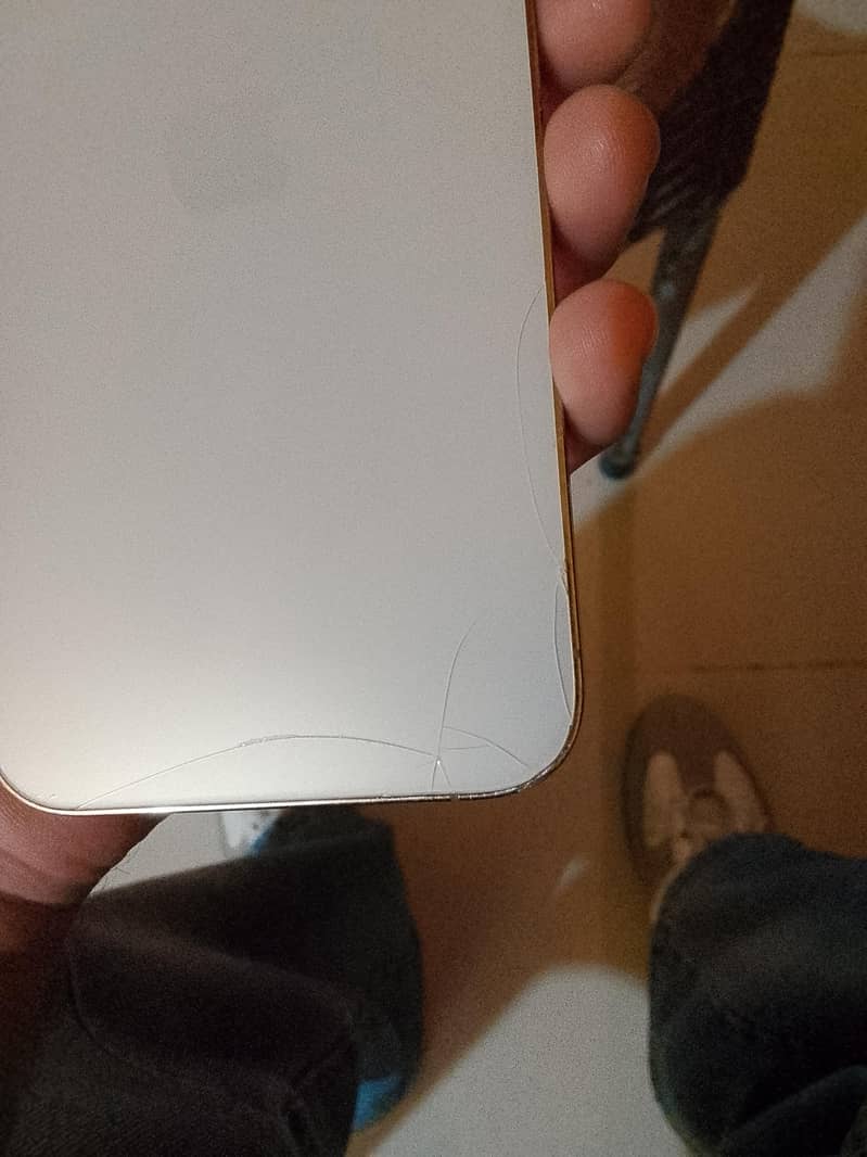 Apple iPhone 13 Pro Max 2