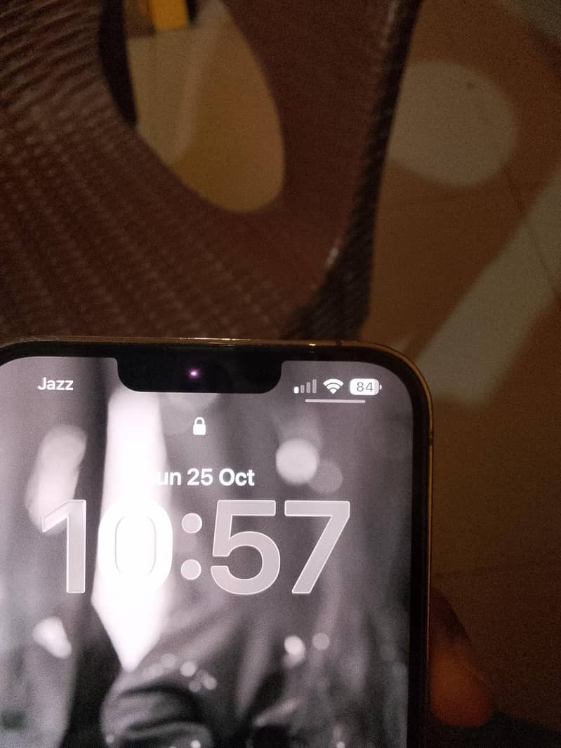 Apple iPhone 13 Pro Max 3