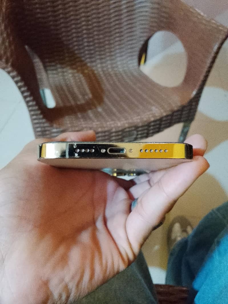 Apple iPhone 13 Pro Max 4