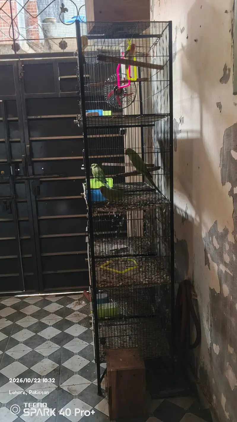 BIRDS CAGES 8 PORTION — photo 2