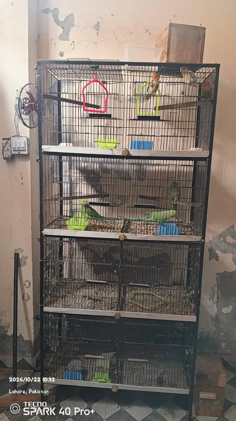 BIRDS CAGES 8 PORTION — photo 3