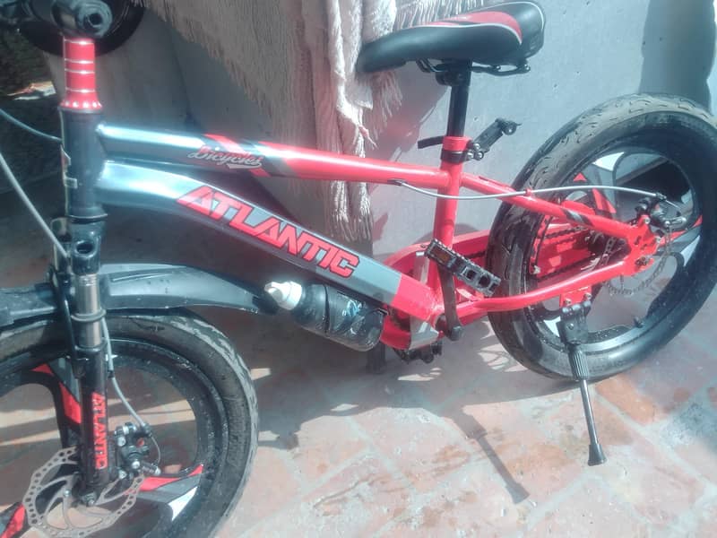Bicycle 0