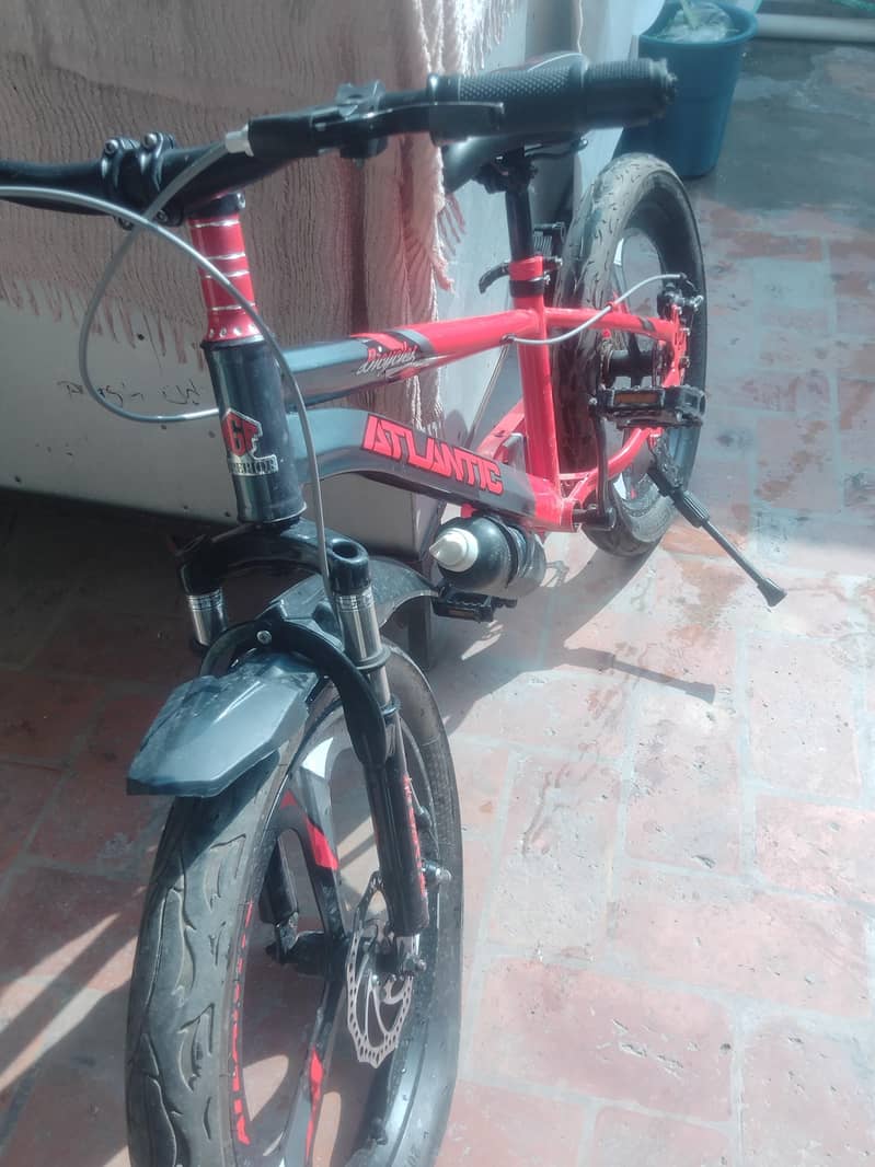 Bicycle 1