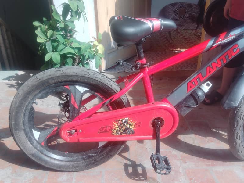 Bicycle 4