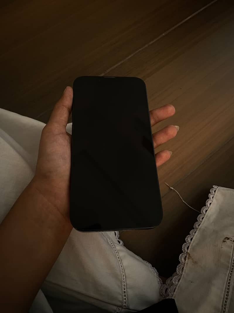Apple iPhone 13 1