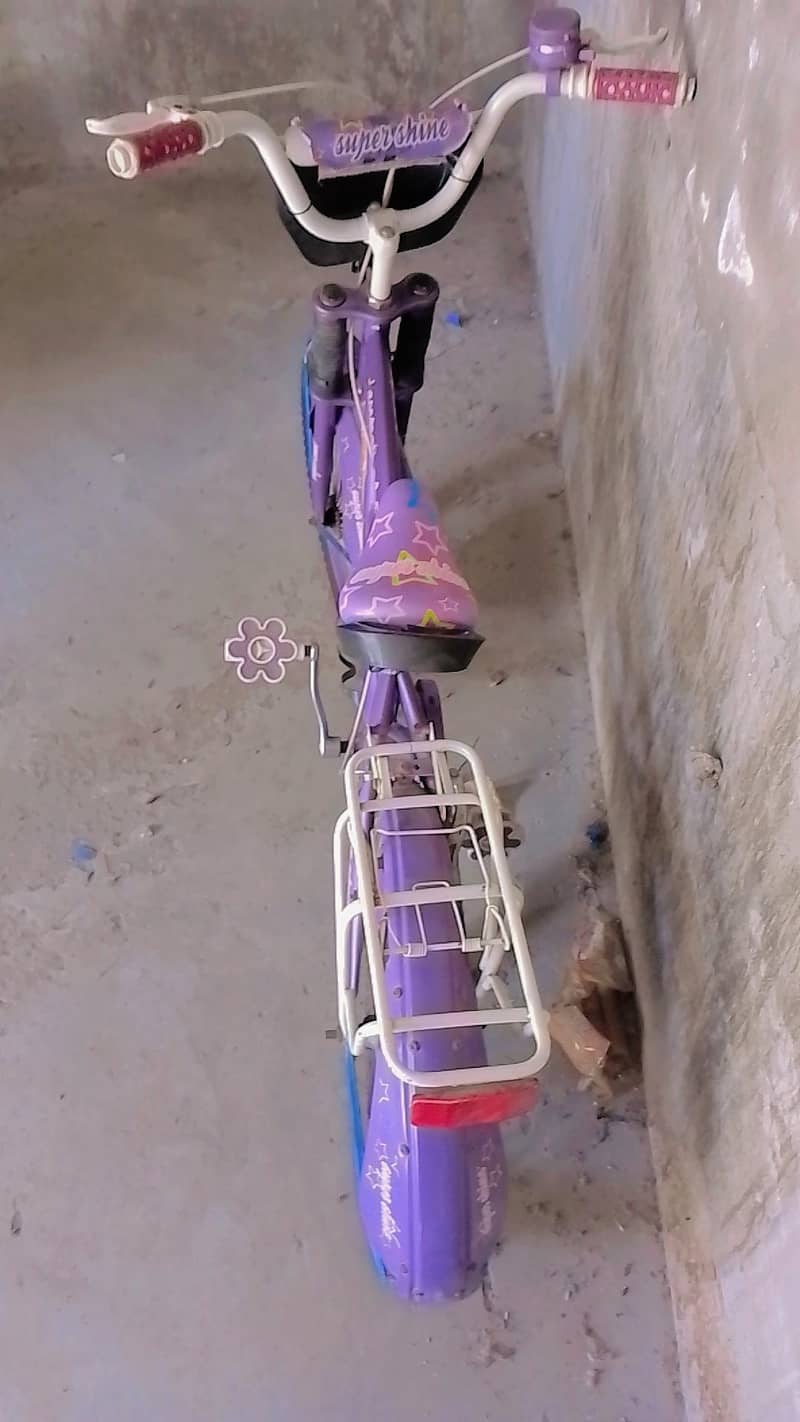 bicycle 2